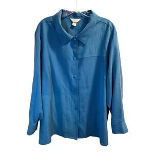 C. J. Banks, Button Up Shirt with Collar,Textured, Blue, 3x